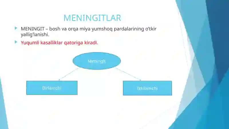 MENINGITLAR 3