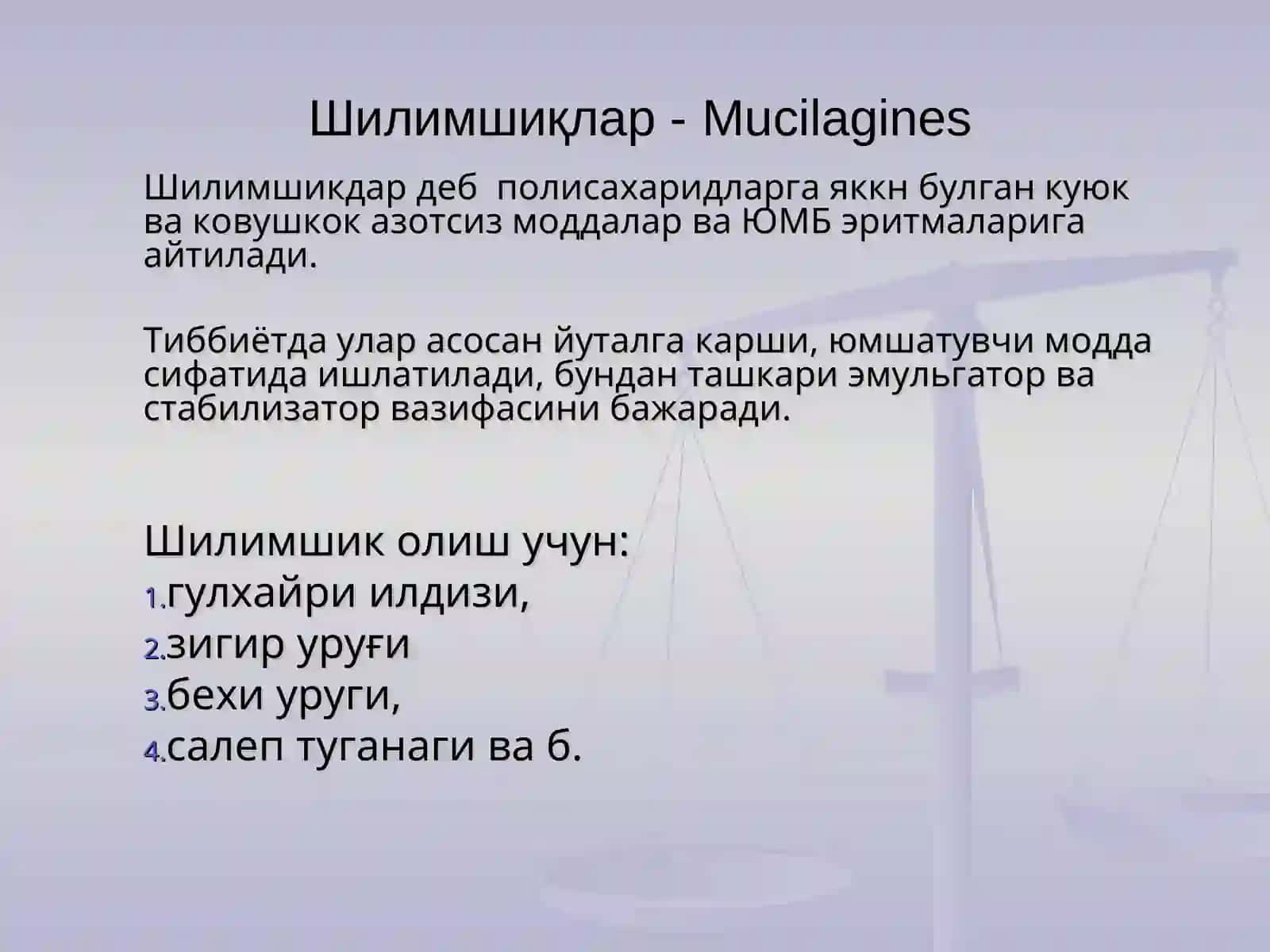 Шилимшиқлар 3