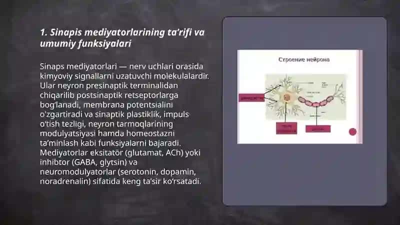 Sinapis mediyatorlarining umumiy tasnifi 3