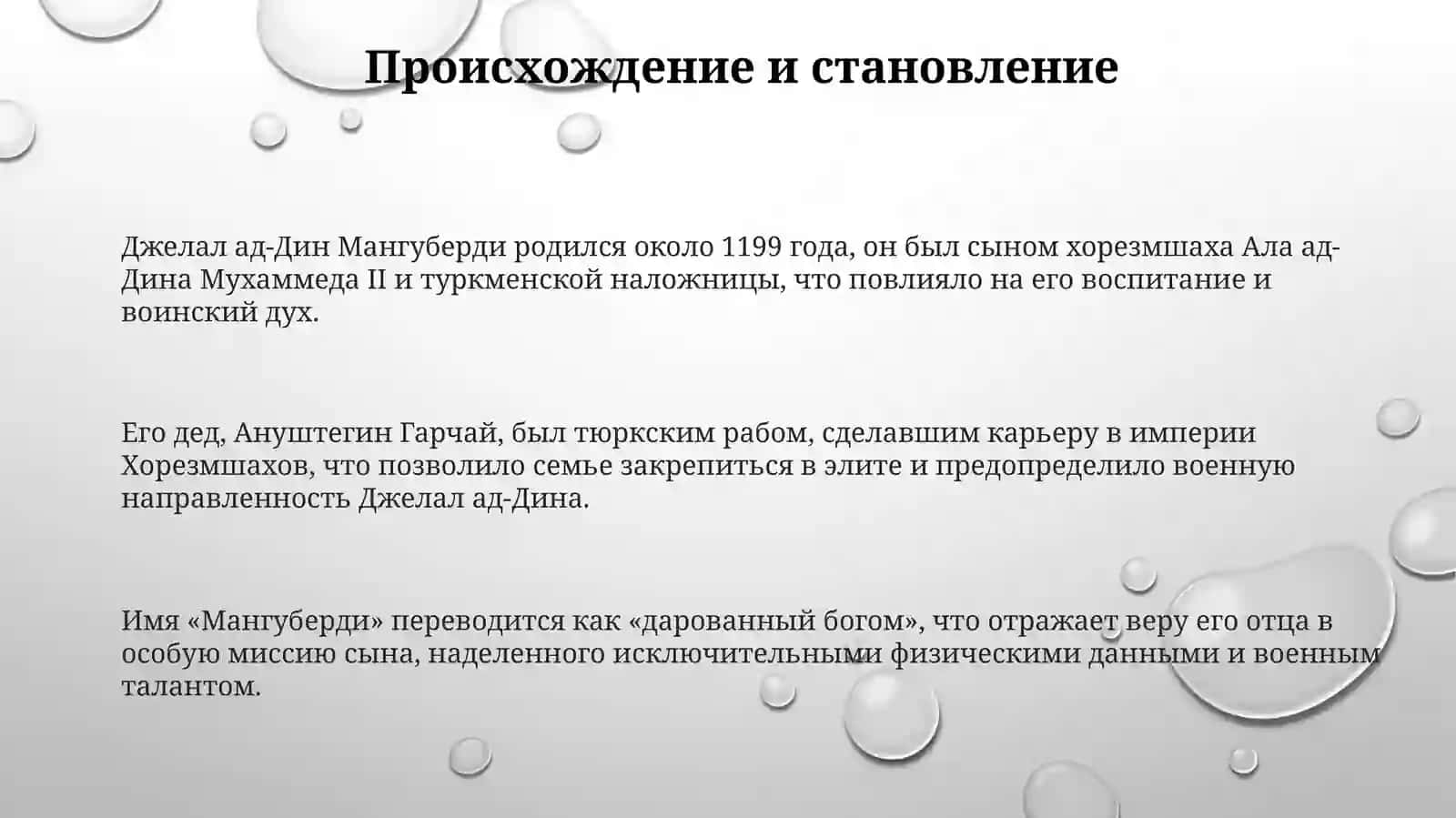 ДжалолиддинМангуберди-защитникРодины 3
