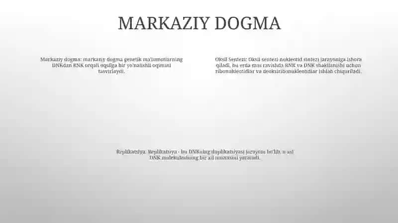 Oqsil Sintezi 3