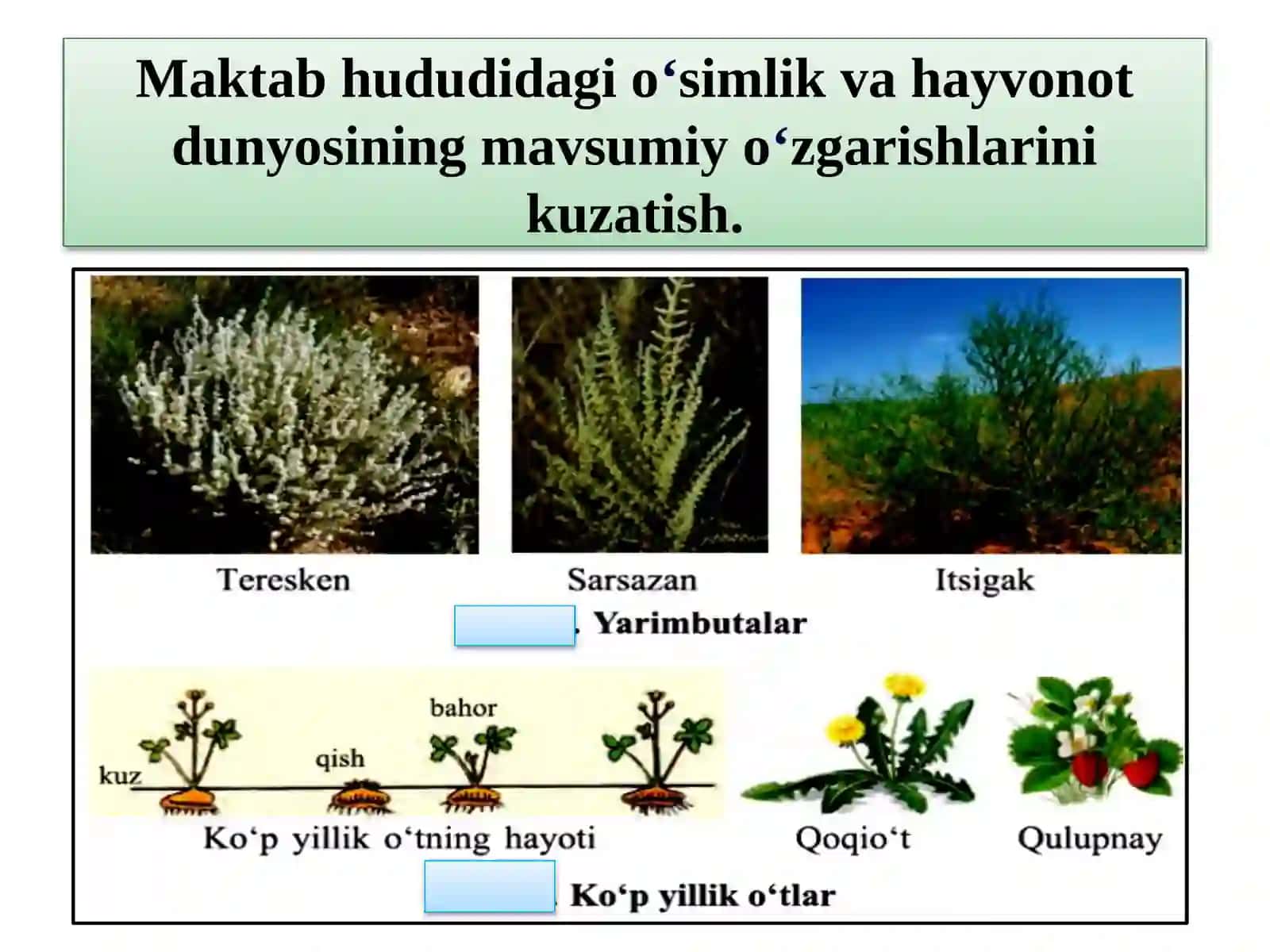 7-amaliymashgʻulot 3