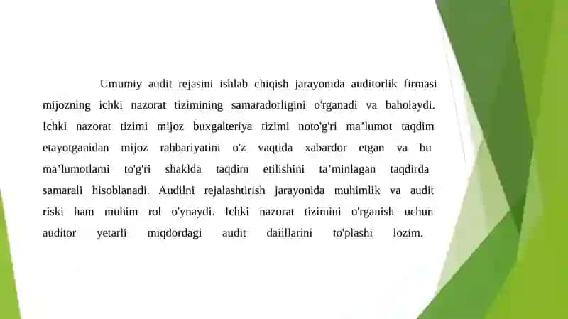 Auditorlik tekshiruvining tashkiliy asoslari, audit strategiyasi va texnologiyasi 3