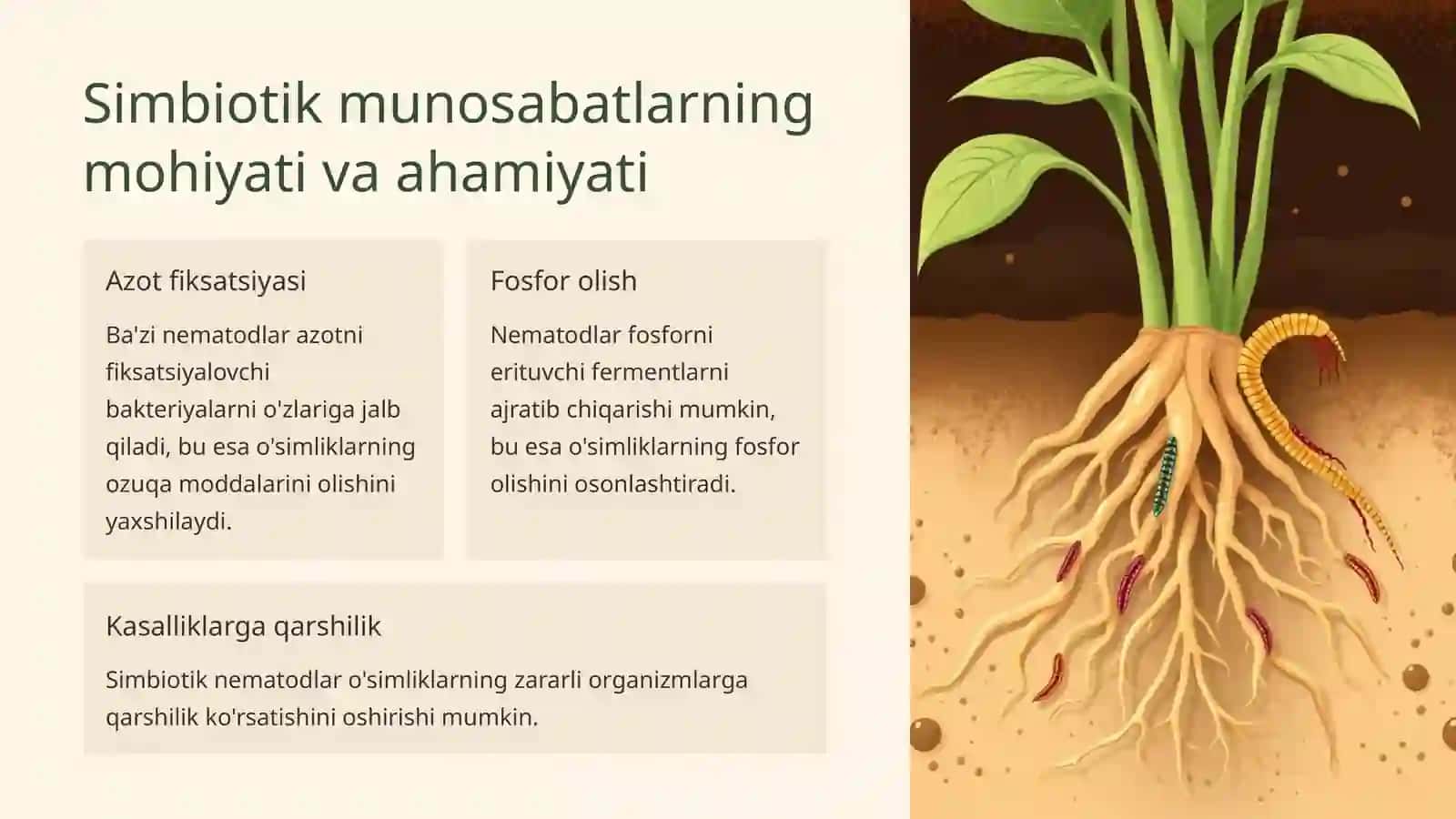 Fitonematodalar o'rtasidagi simbiotik va antogonistik munosabatlar 3