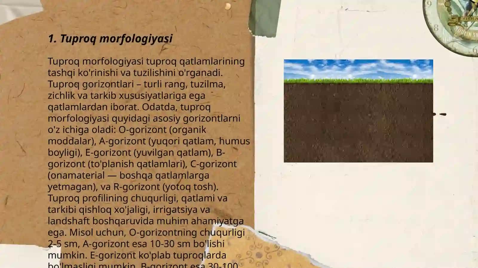Tuproqshunoshlikning tarmoqlarini tahlil qilish 3