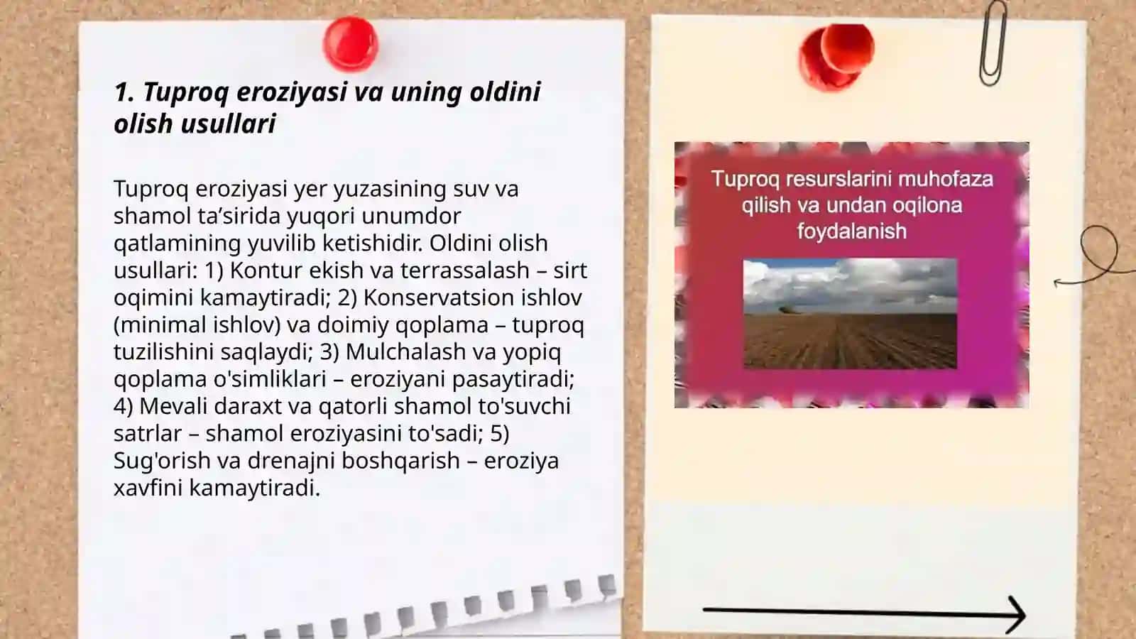 Tuproq degradatsiyasi muammolari va atrof-muhit muhofazasi 3