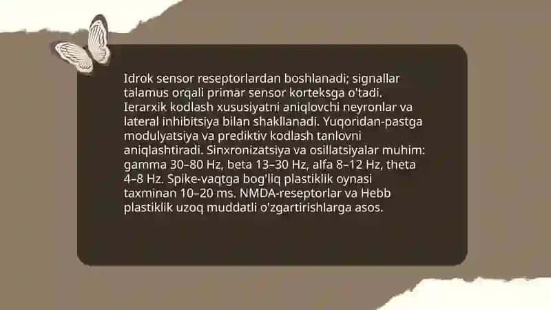 Psixik jarayonlar va miyaning uzaro aloqadorligi 3