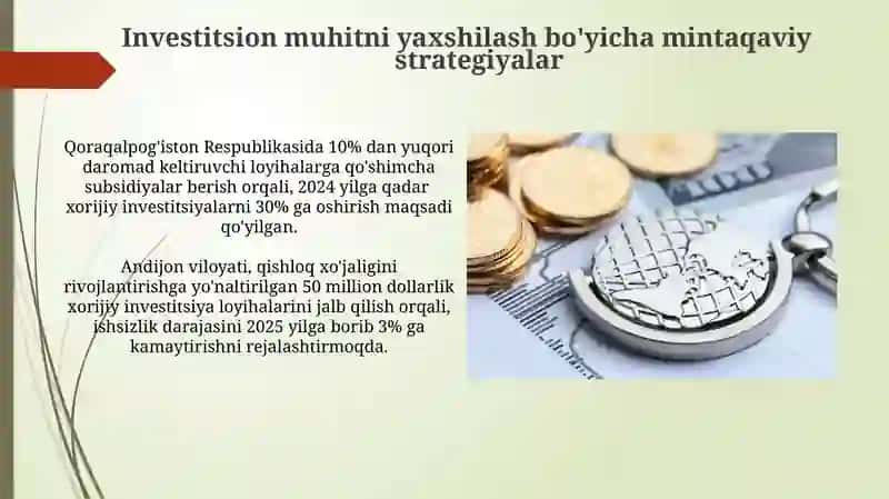 Investitsion muhitni yaxshilash bo'yicha mintaqaviy strategiyalar 3