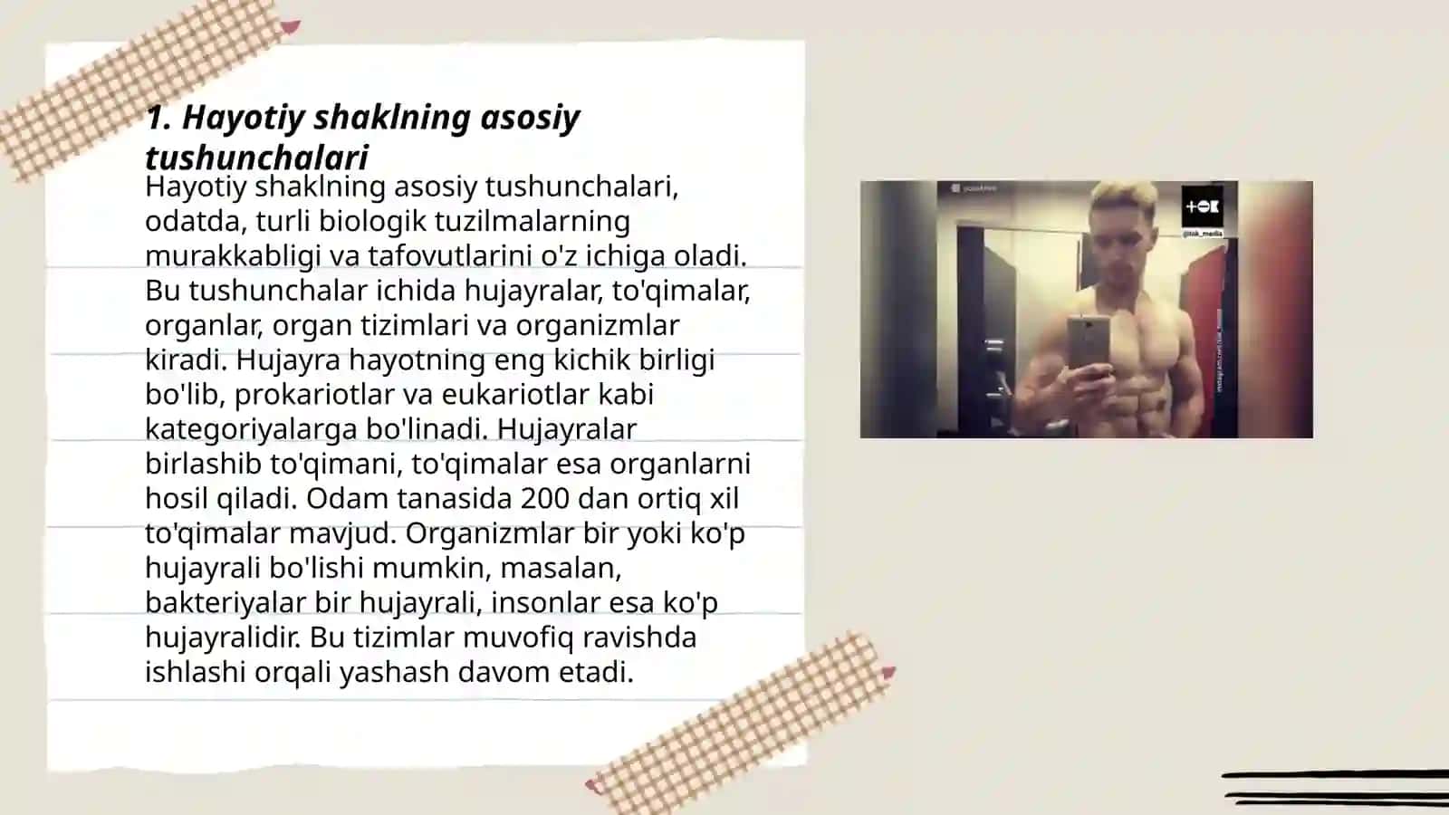 Hayotiy shakl bo'yicha K.Raunkier va I.G.Serebyakov klassifikatsiyasi 3