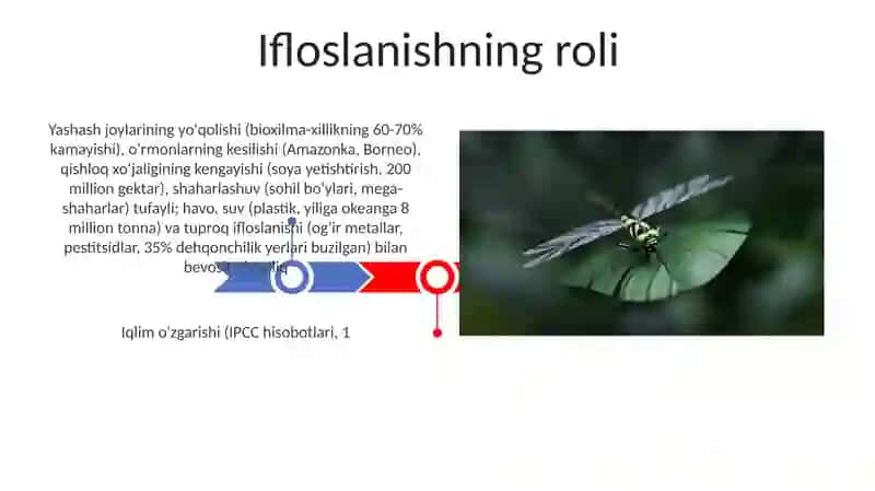 Global biologik xilma-xillik inqirozi 3