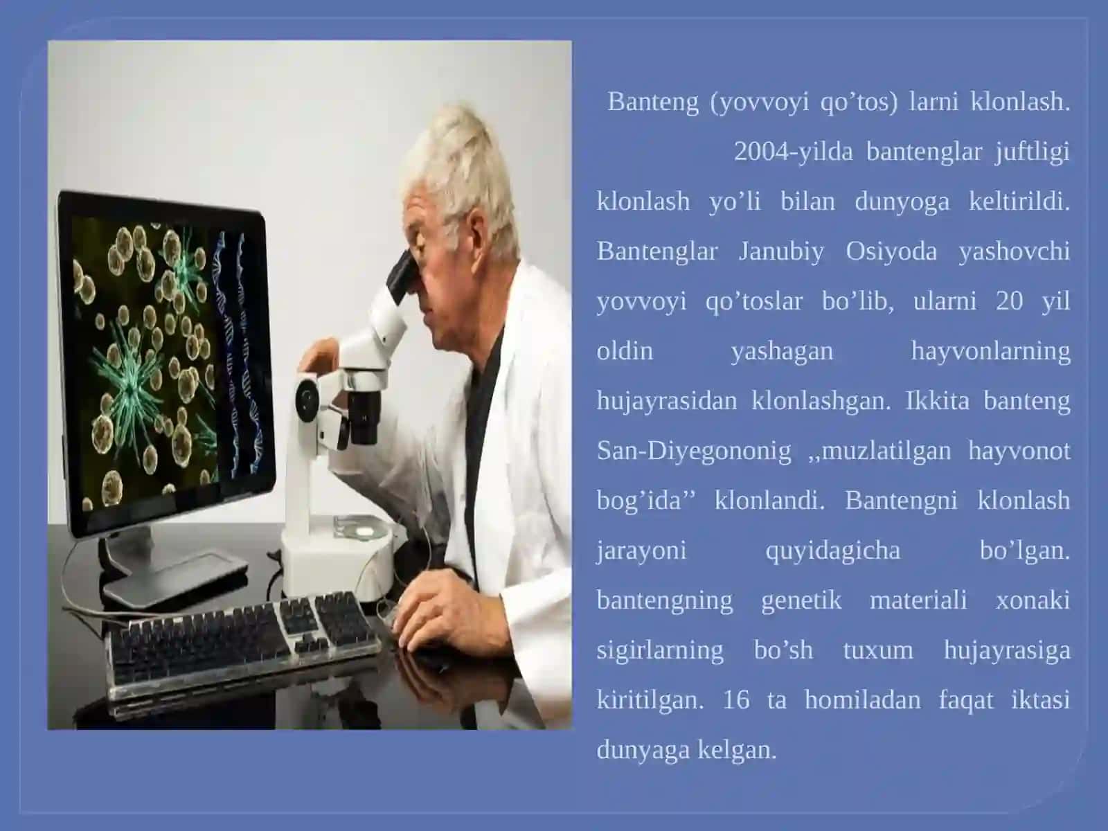 Vilmutboshchiligidagi o'yin 3