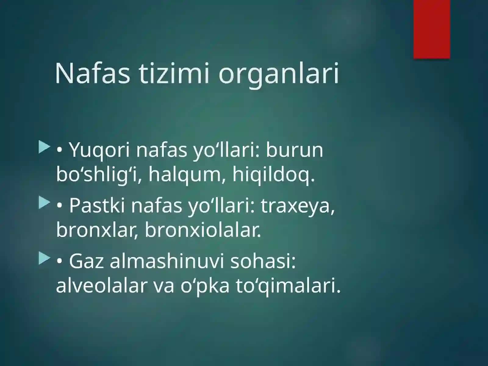 Nafas tizimi anatomo fiziologiyasi 3