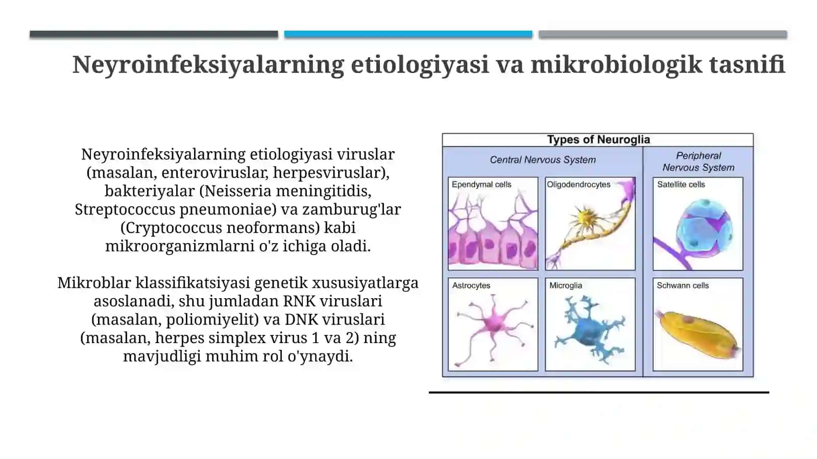 Nevrainfeksiyalari etialogiyasi va mikrobiologik tasnifi 3