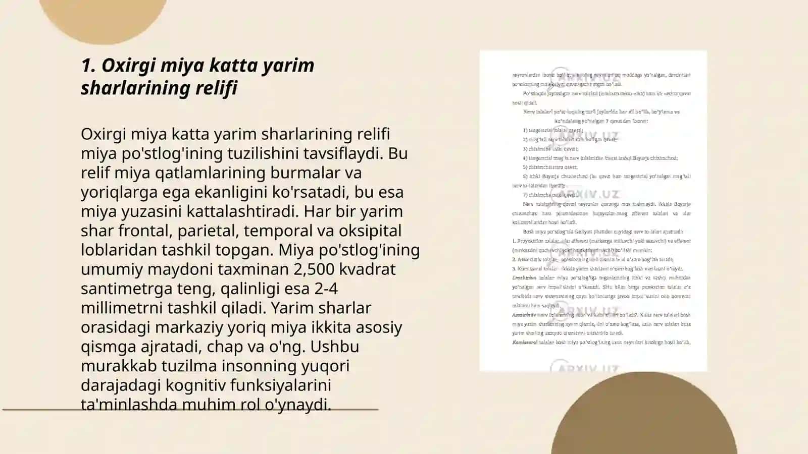 Oxirgi miya katta yarim sharlarining relifi 3
