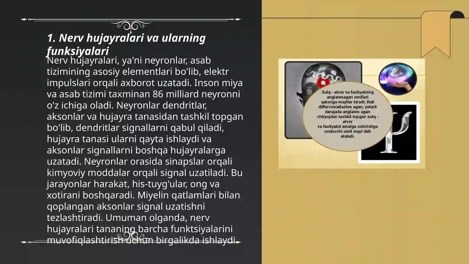 Xulq-atforning nerv-fiziologik asoslari 3