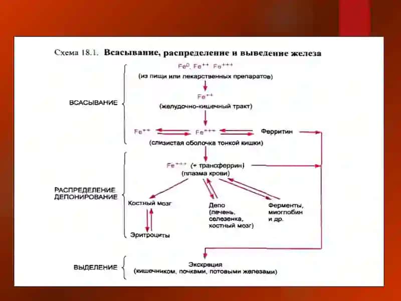 Эритропоэзга таъсир этувчи воситалар 3