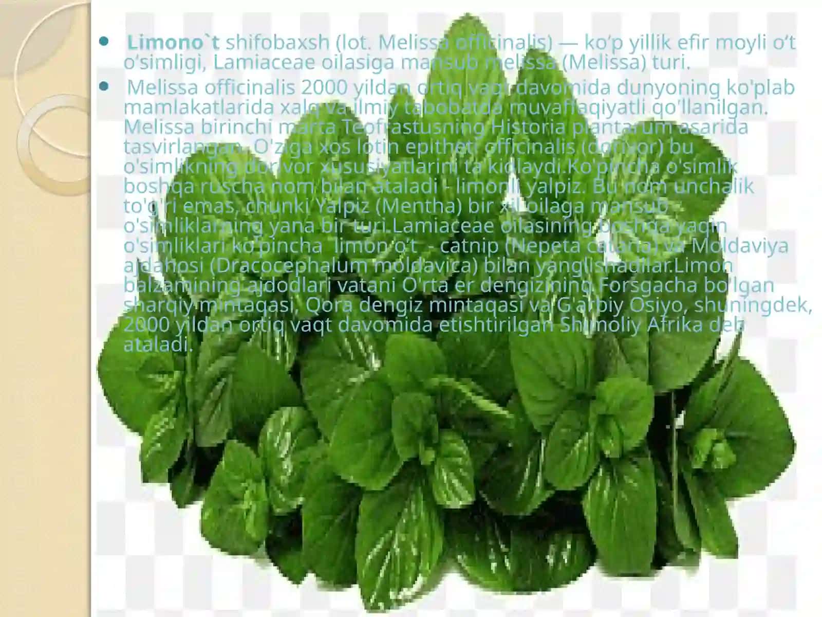 Limono’to’simliginiyetishtirish, dorivorlik xususiyati va umumiy ta’rif 3