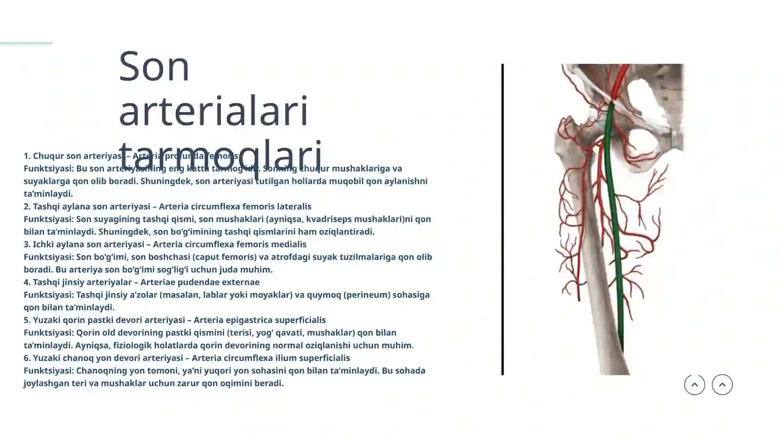 FUNDAMENTAL TIBBIYOT 106- GURUH 3