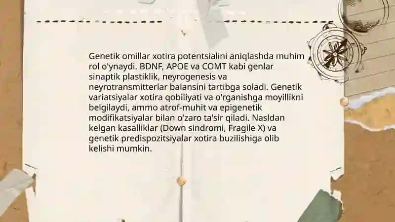 Inson xotirasi rivojining asosiy omillari va shart-shatoitlari 3