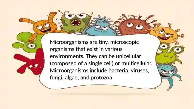 Microorganismis and Microbiologiy 3