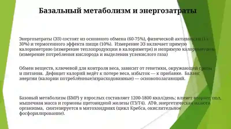 Генерация и потребление энергии в процессе обмена веществ у человека 3