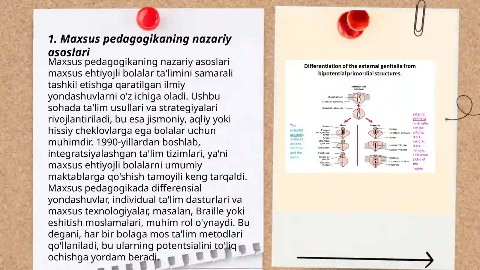 Maxsus Pedagogikaning Klinik Asoslari Fanining Maqsadi va Vazifalari 3