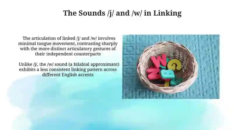 Consonant to Vowel Linking /j/ /w/ 3