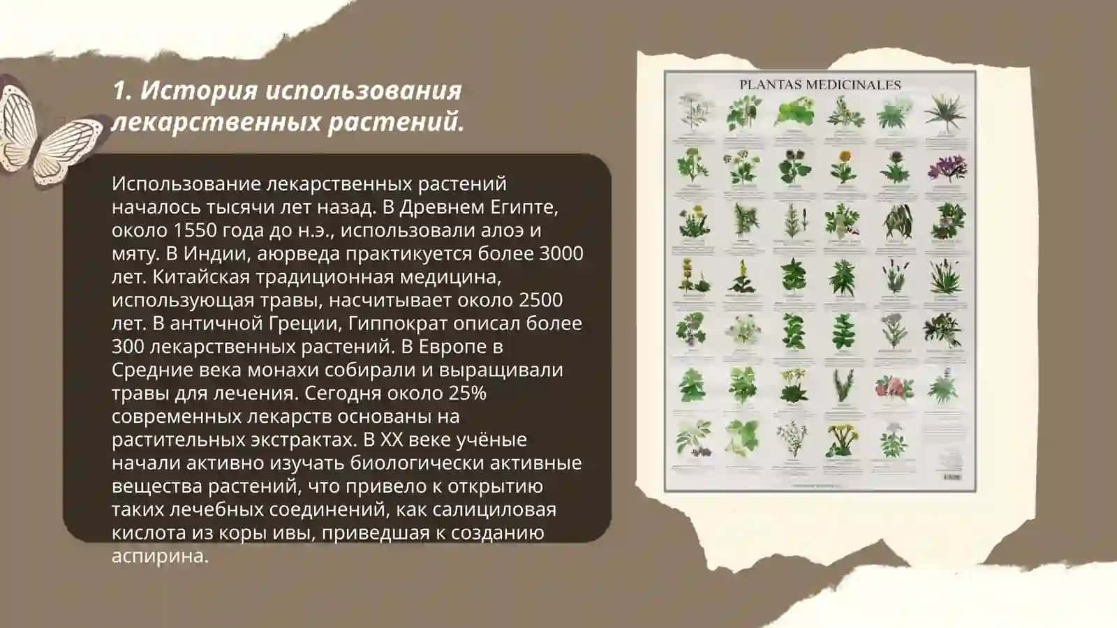 Изучение и применение лекарственных растений в фармации 3
