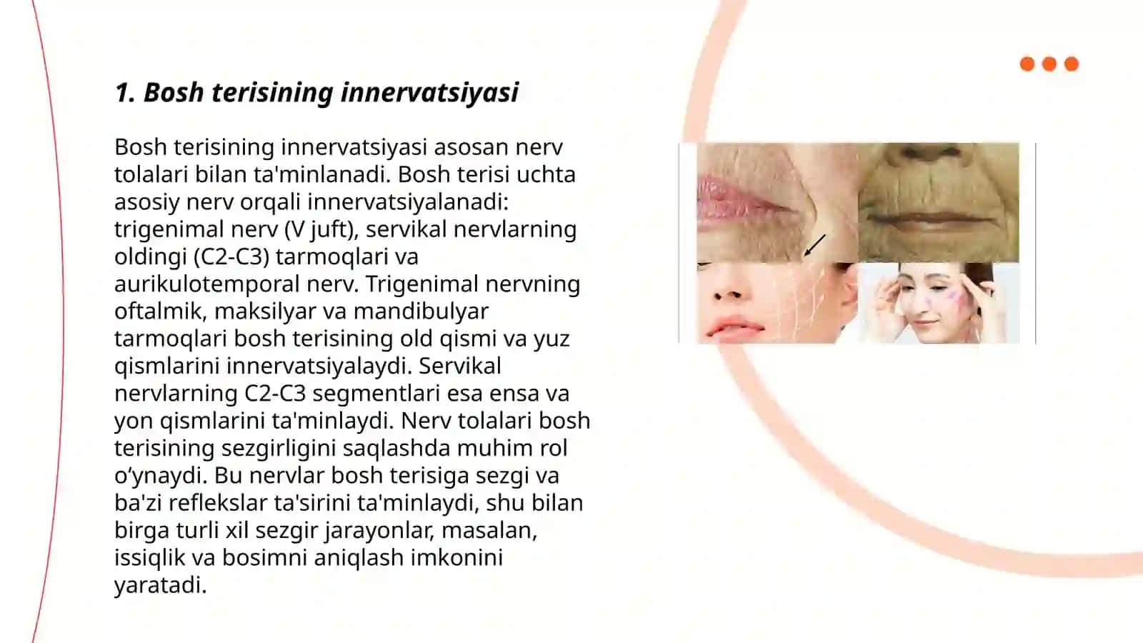 Bosh va yuz sohasi terisining innervatsiyasi 3