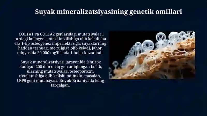 Suyak to‘qimalarining minerallashuvi,uning tartibga solinishi va buzilishlari 3