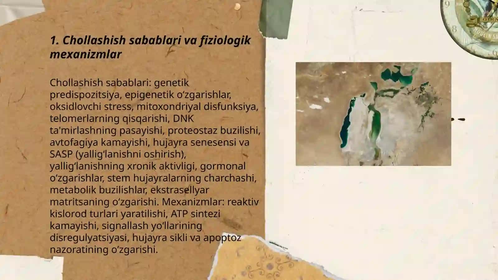 Chollashish muammosi 3