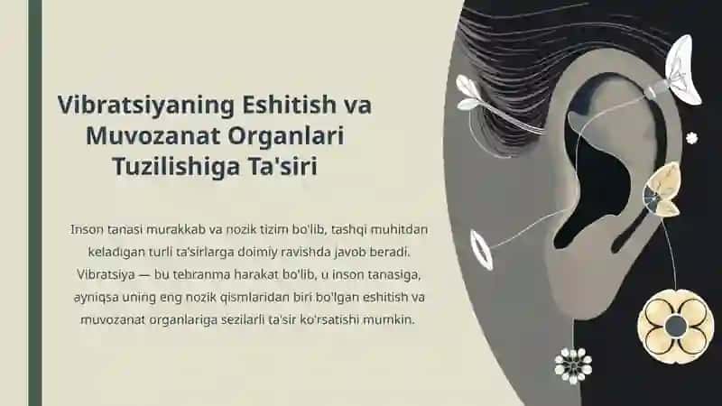 Vibratsiyaning Eshitish va Muvozanat Organlari Tuzilishiga Ta'siri 3