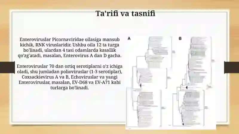 Enteroviruslar va ularning xususiyatlari 3