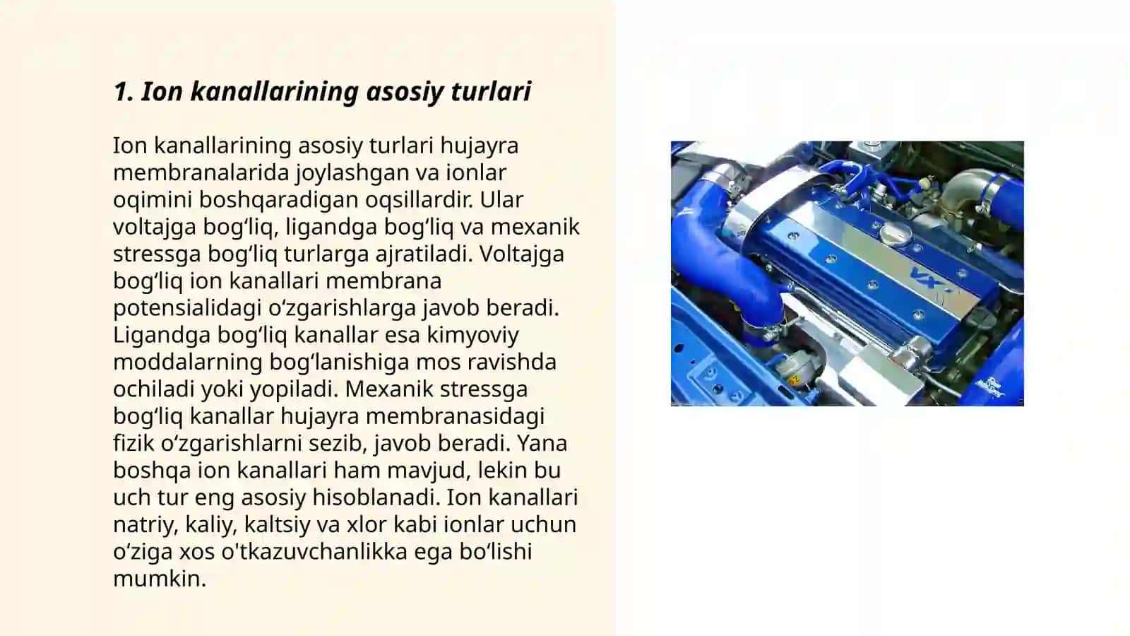 Ion kanallarining aktivatsiyasi, deaktivatsiyasi va inaktivatsiyasi 3