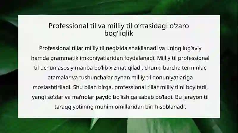 PROFESSIONAL TILLAR VA ULARNING MILLIY TILDAGI ASOSIY XUSUSIYATLARI 3