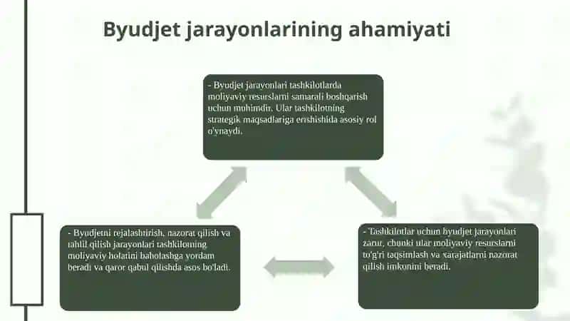 Byudjet tashkilotlarida byudjet hisobining tashkiliy uslubiy jihatlari 3
