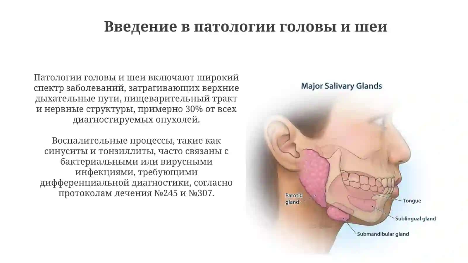 Воспалительные заболевания ЛОР-органов и слюнных желез: макро- и микроскопическая характеристика 3
