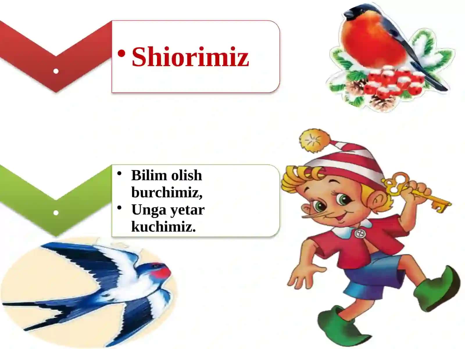 Qushlar qandayinlarday yashaydilar? 3