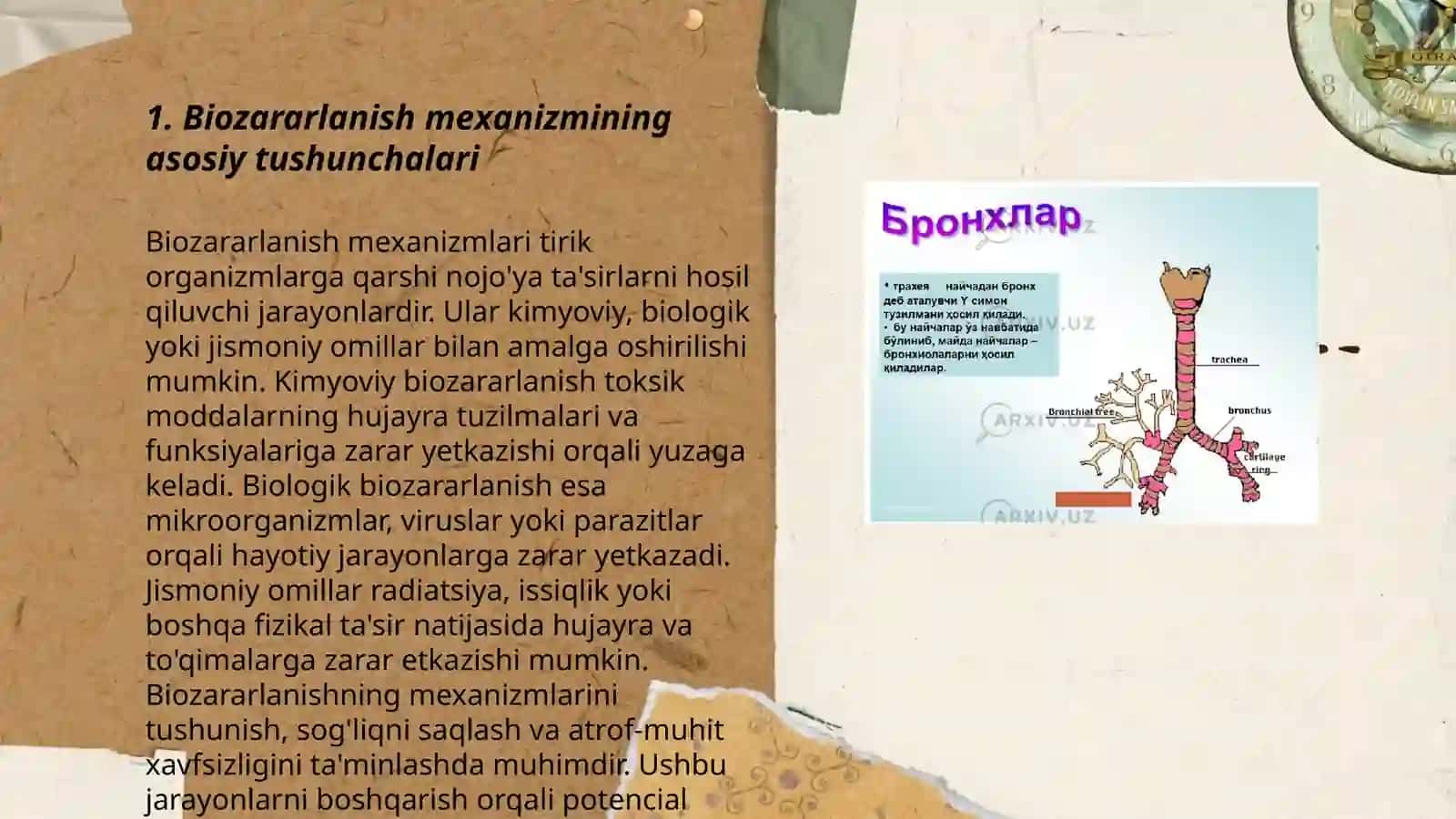 Termitlarning biomexanik zararlanishi 3