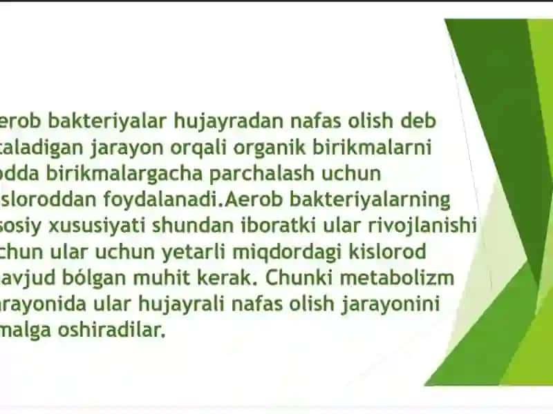 Aerob va anaerob bakteriyalarining sof kulturasini ajratib olish 3