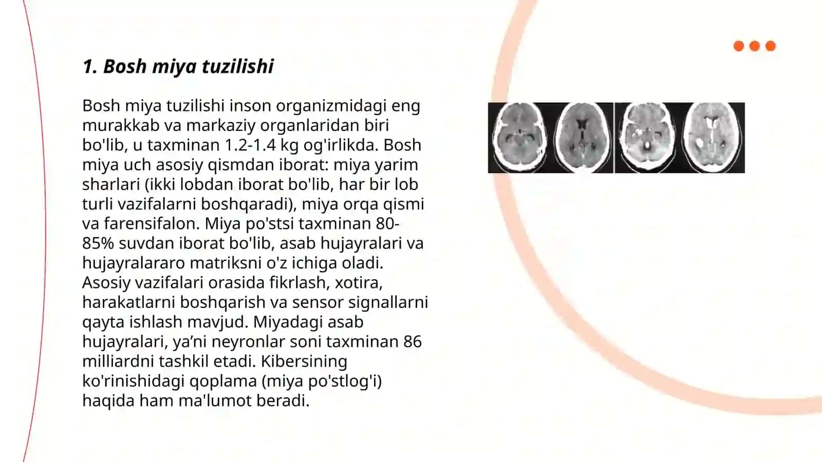 Bosh miya nervlari 3