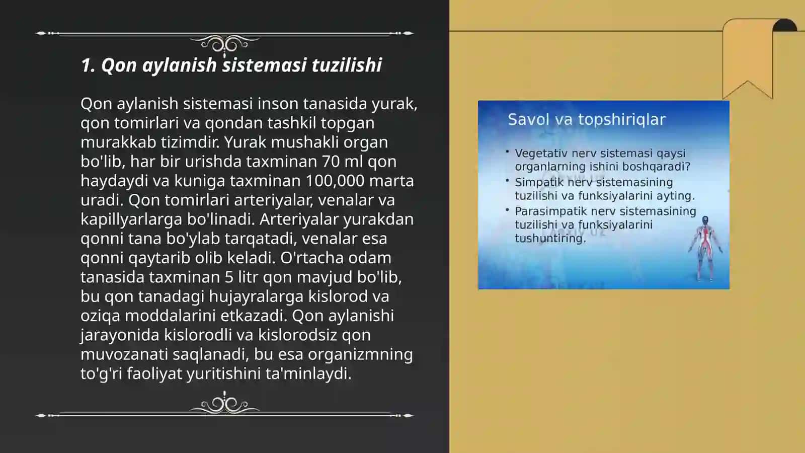 Qon aylanish sistemasi 3