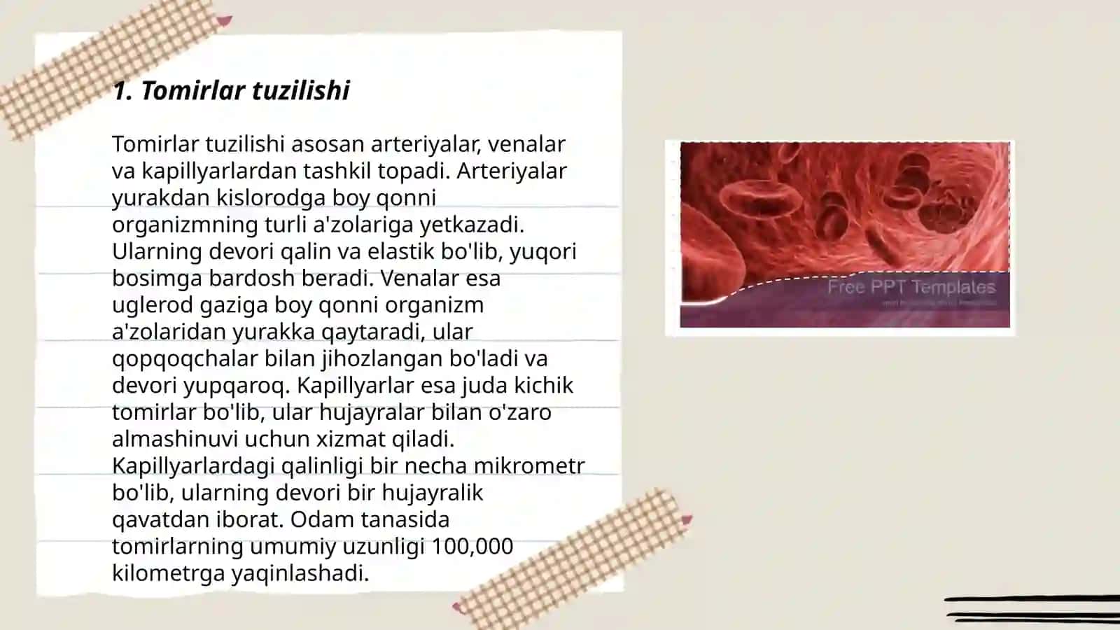 Tomirlar orqali qonning harakatlanishi 3