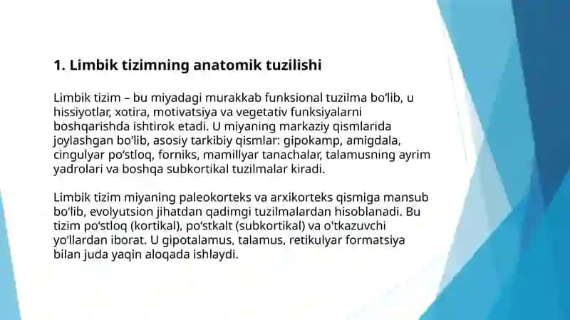 Lembik tizim  funksiyasi 3
