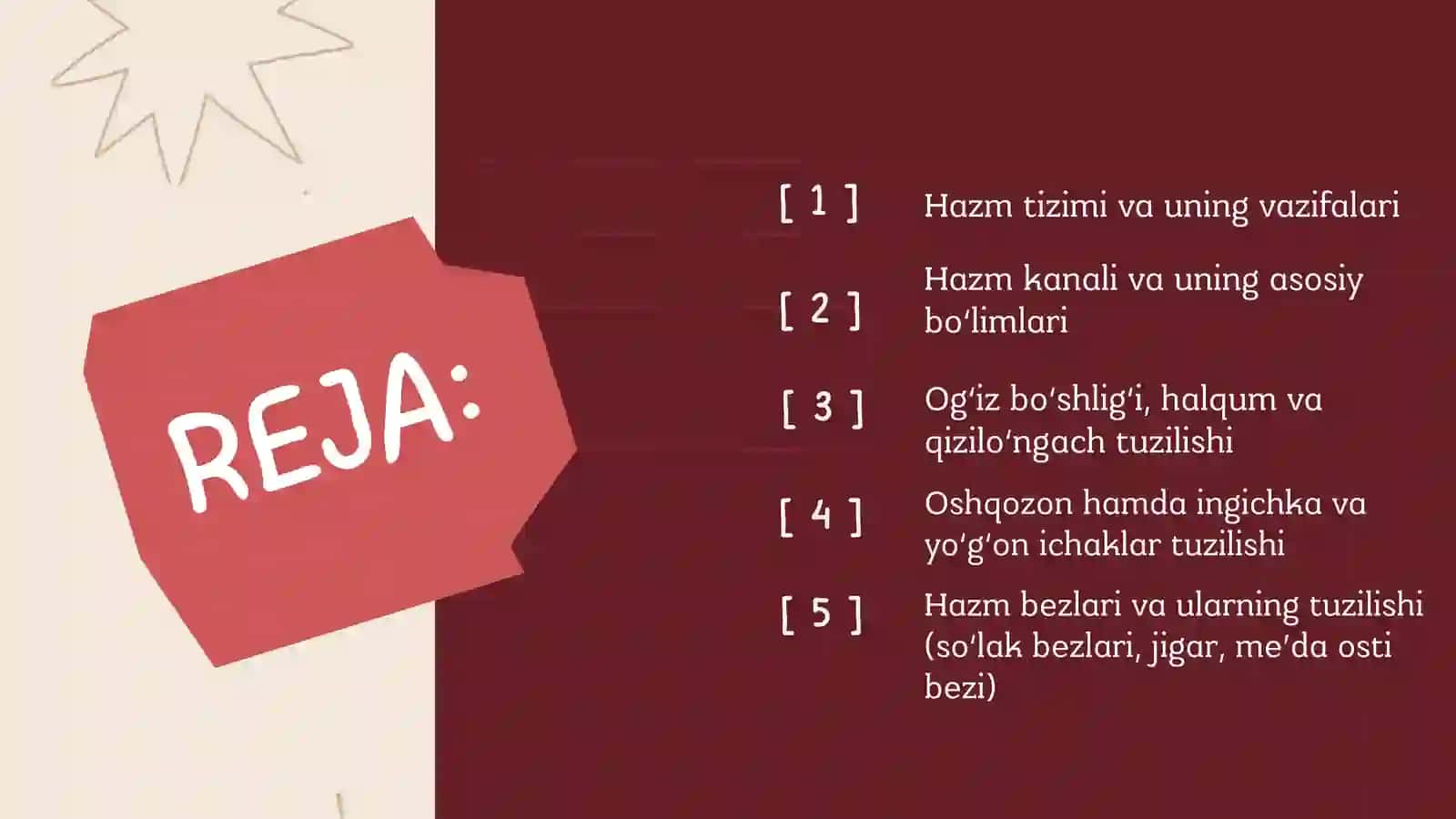 Hazm tizimi va uning vazifalari 3