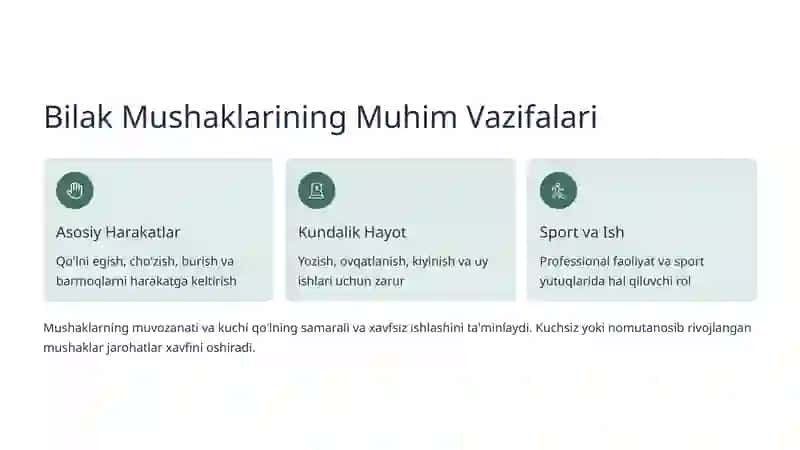 Bilak Mushaklari: Kuch va Harakat Manbai 3