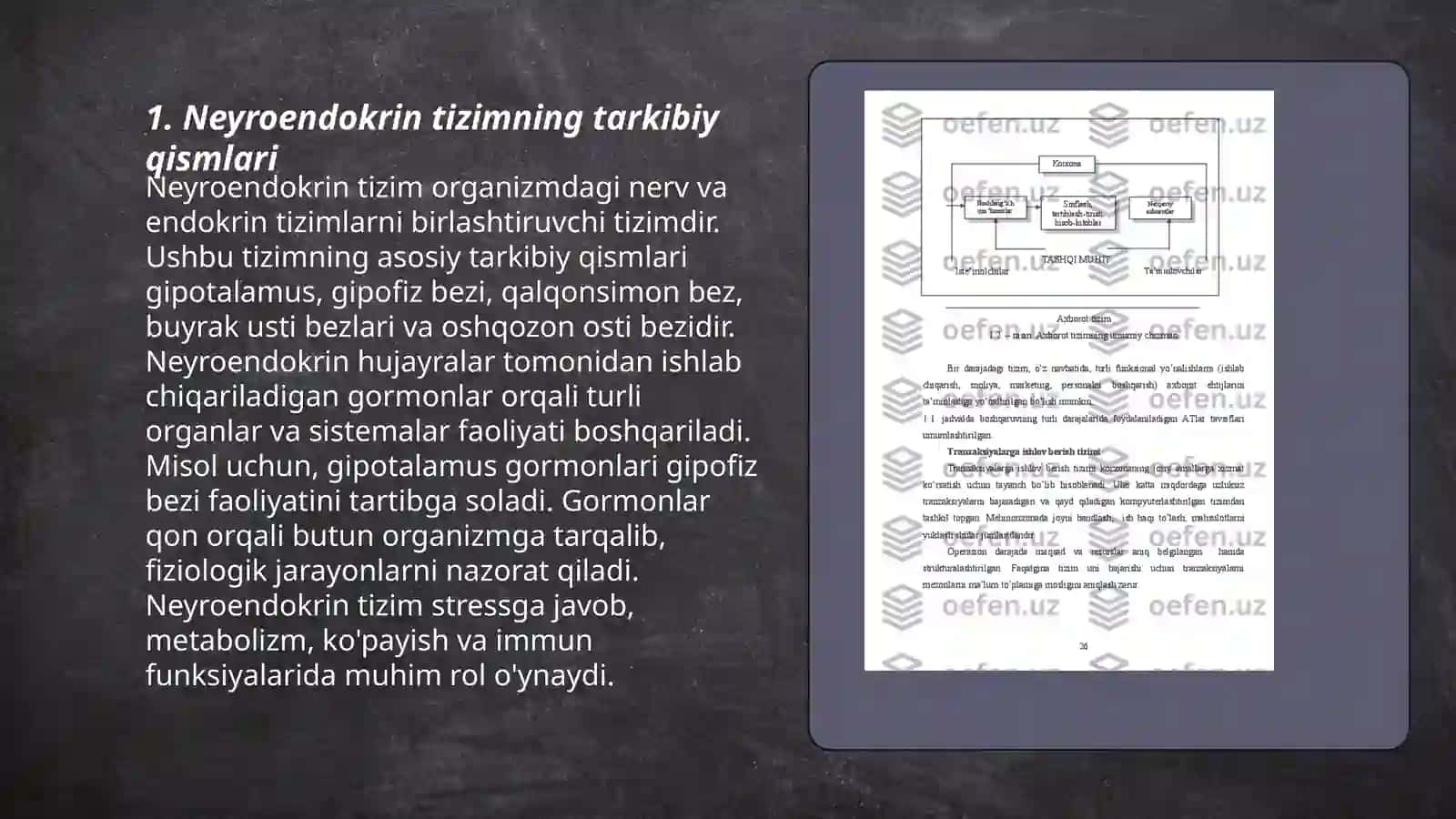 Neyroendokrin tizimning struktur funksional tavsifi 3