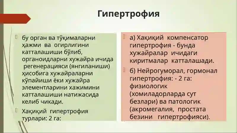 Усма  хужайраларини келиб  чикишидаги ахамияти 3