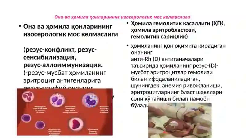 Akusherlik va Ginekologiya Kafedrasi 3