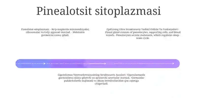 Epifizning Ultra Strukturaviy Tashkil Etilishi Va Funksiyalari 3